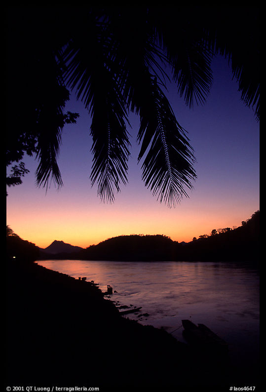 Sunset on the Mekong river framed by coconut trees, Luang Prabang. Mekong river, Laos