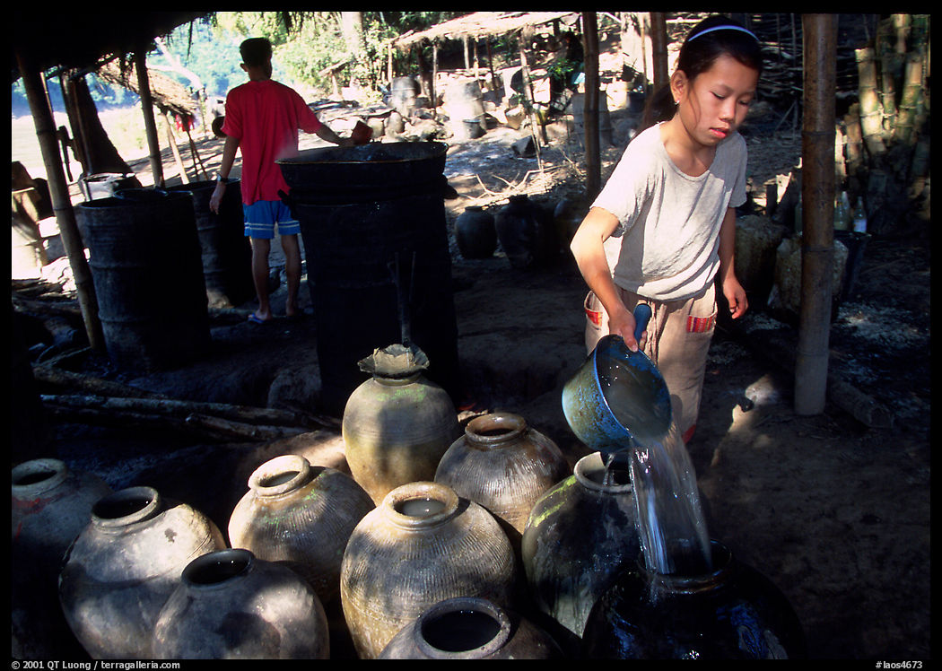 Making of the Lao Lao, strong local liquor in Ban Xang Hai village. Laos
