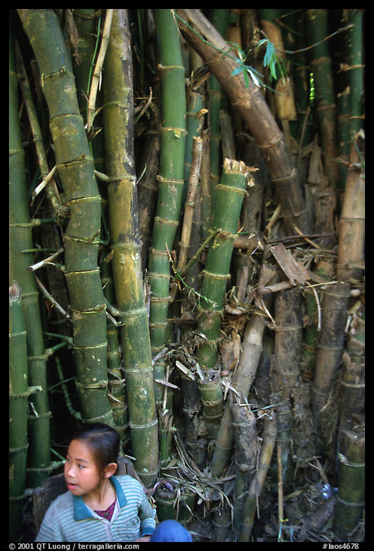 Girl and bamboo, Ban Xan Hai. Laos
