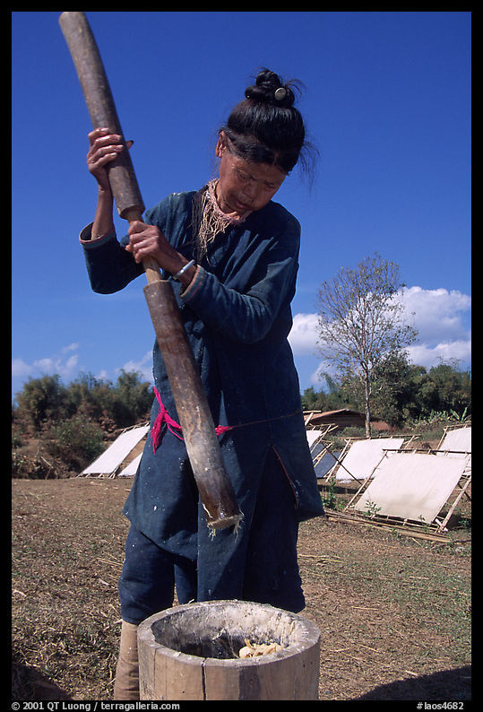 Paper making in Ban Nam Sang village. Laos