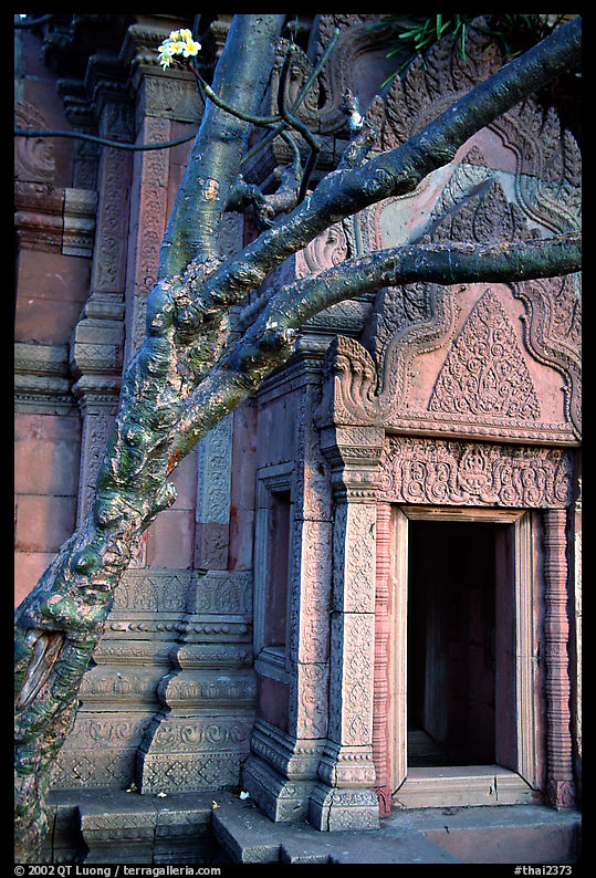 Vegetation invades khmer-style temple. Muang Boran, Thailand