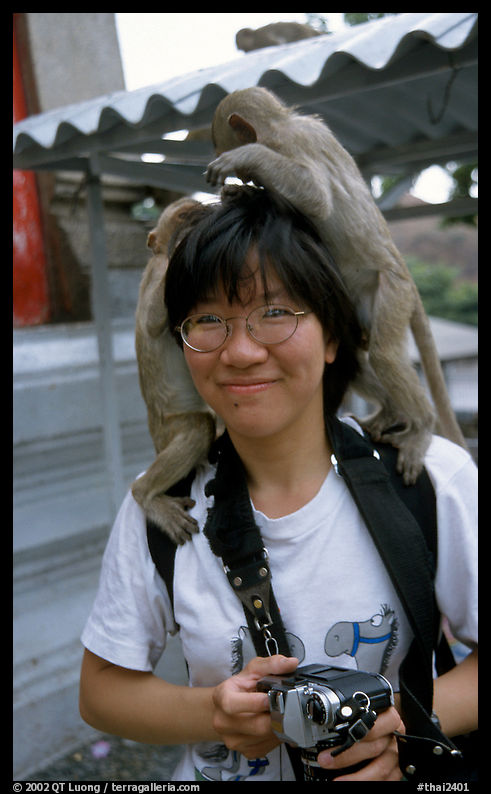 Monkeys climb on a visitor, San Phra Kan. Lopburi, Thailand
