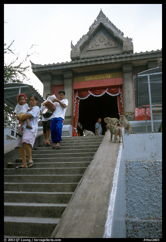 San Phra Kan (Kala shrine), invaded by monkeys. Lopburi, Thailand