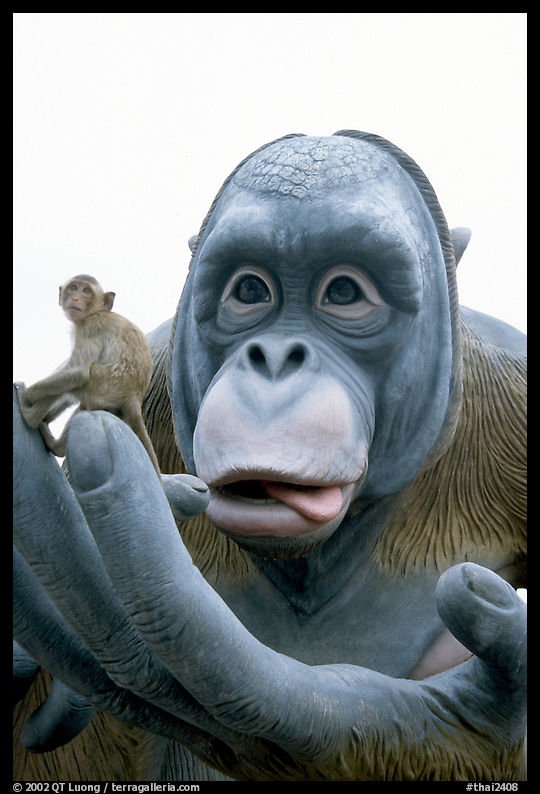 Monkey on monkey statue. Lopburi, Thailand