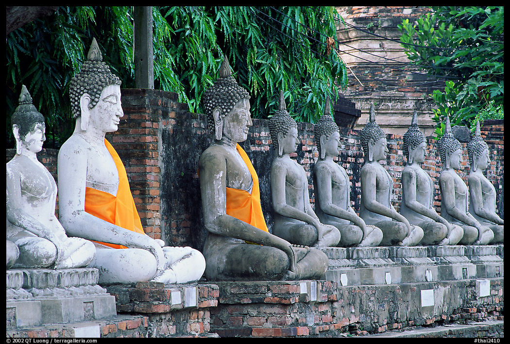 Buddha images in Wat Chai Mongkon, swathed in sacred cloth as a sign of reverence. Ayuthaya, Thailand
