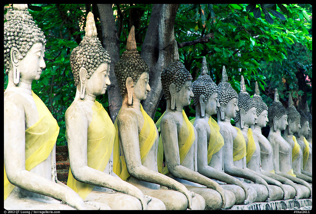 Buddha images in Wat Chai Mongkon, swathed in sacred cloth as a sign of reverence. Ayuthaya, Thailand