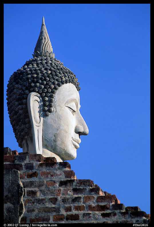 Buddha head, Wat Chai Mongkon. Ayuthaya, Thailand
