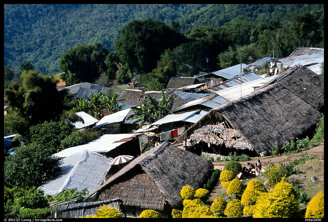 Hmong village. Chiang Mai area, Thailand