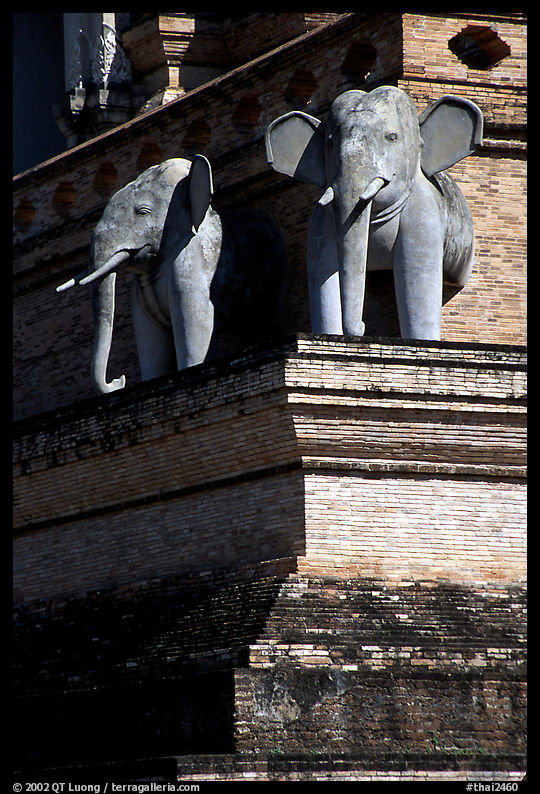 Elephants at Wat Chedi Luang. Chiang Mai, Thailand