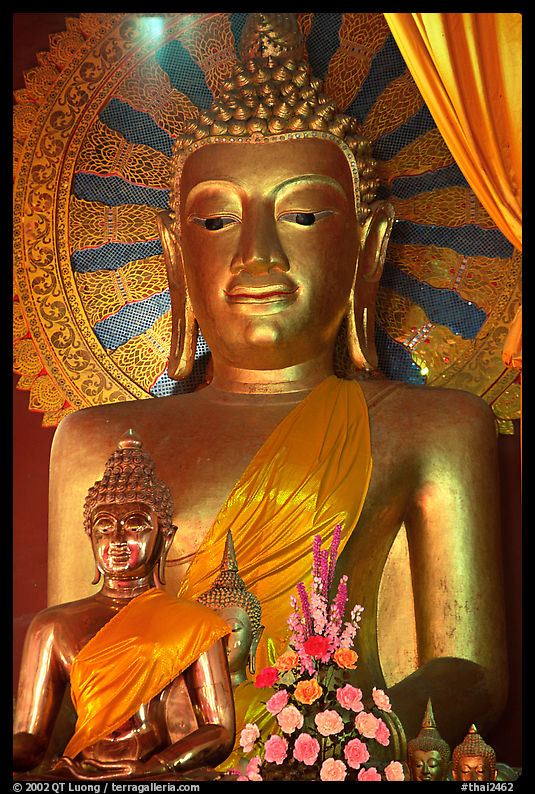 Buddha images of several sizes. Chiang Mai, Thailand