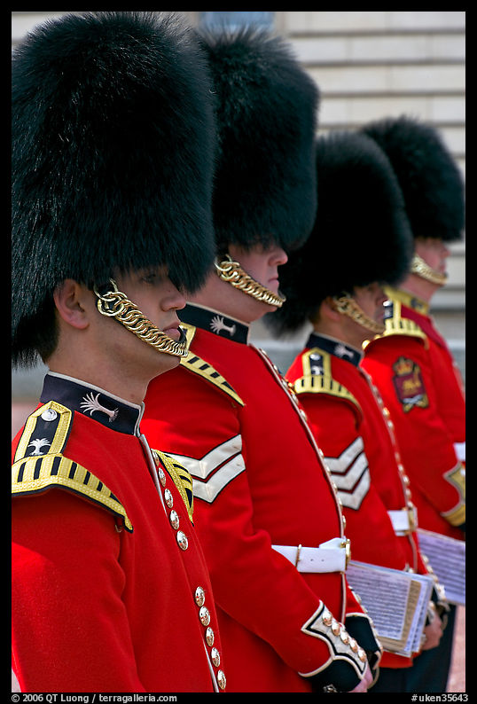 Musicians of the Guard  with tall bearskin hat and red uniforms. London, England, United Kingdom