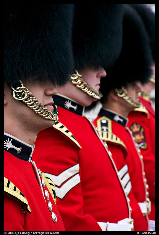 Guards with tall bearskin hat and red tunic standing in a row. London, England, United Kingdom