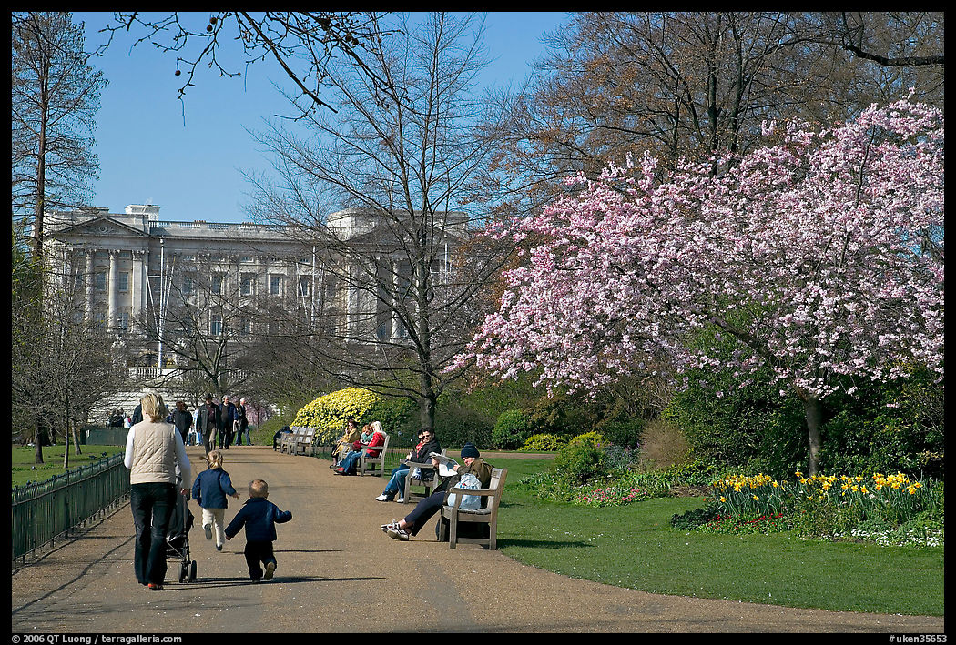 Pathway in Saint James Park in spring with Buckingham Palace in the background. London, England, United Kingdom