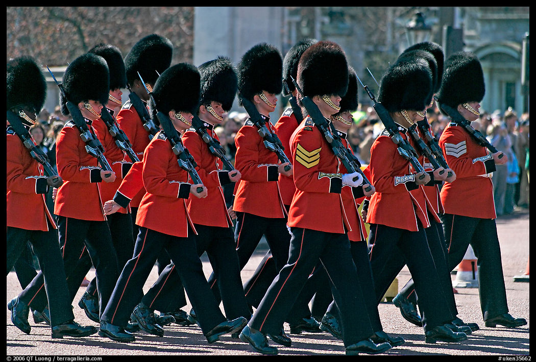Guards with tall bearskin hats  marching near Buckingham Palace. London, England, United Kingdom