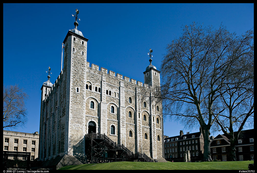 White Tower and tree, the Tower of London. London, England, United Kingdom