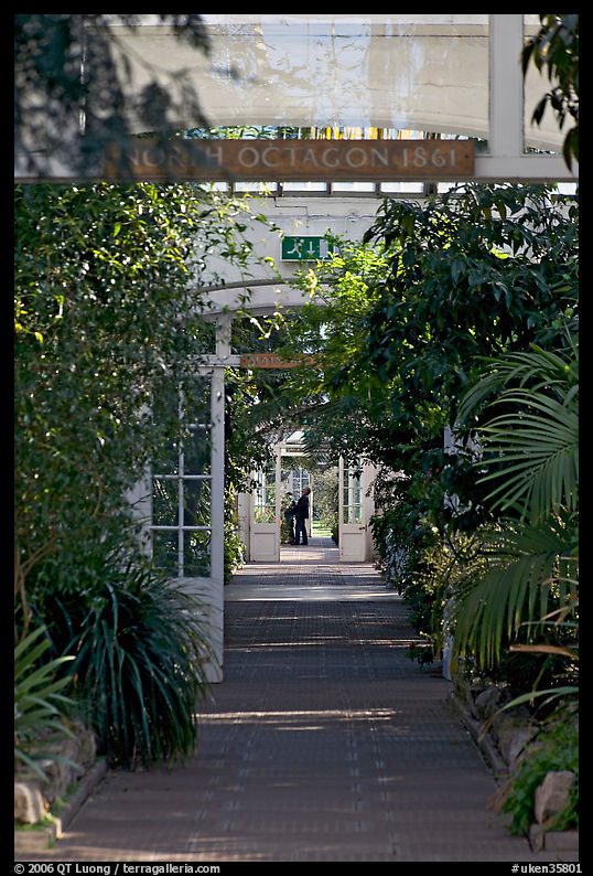 Inside the Temperate House. Kew Royal Botanical Gardens,  London, England, United Kingdom