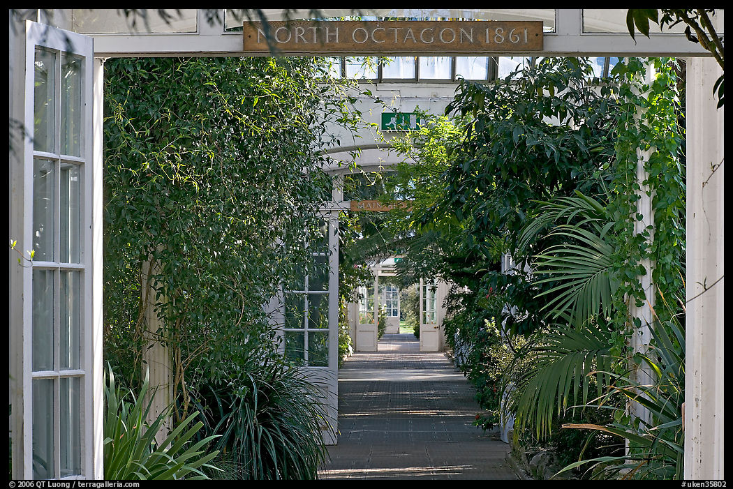 Long central path in the Temperate House. Kew Royal Botanical Gardens,  London, England, United Kingdom