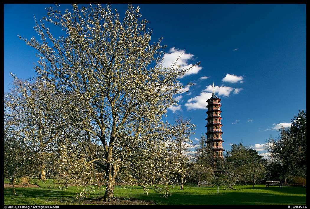 Great Pagoda and tree in bloom. Kew Royal Botanical Gardens,  London, England, United Kingdom
