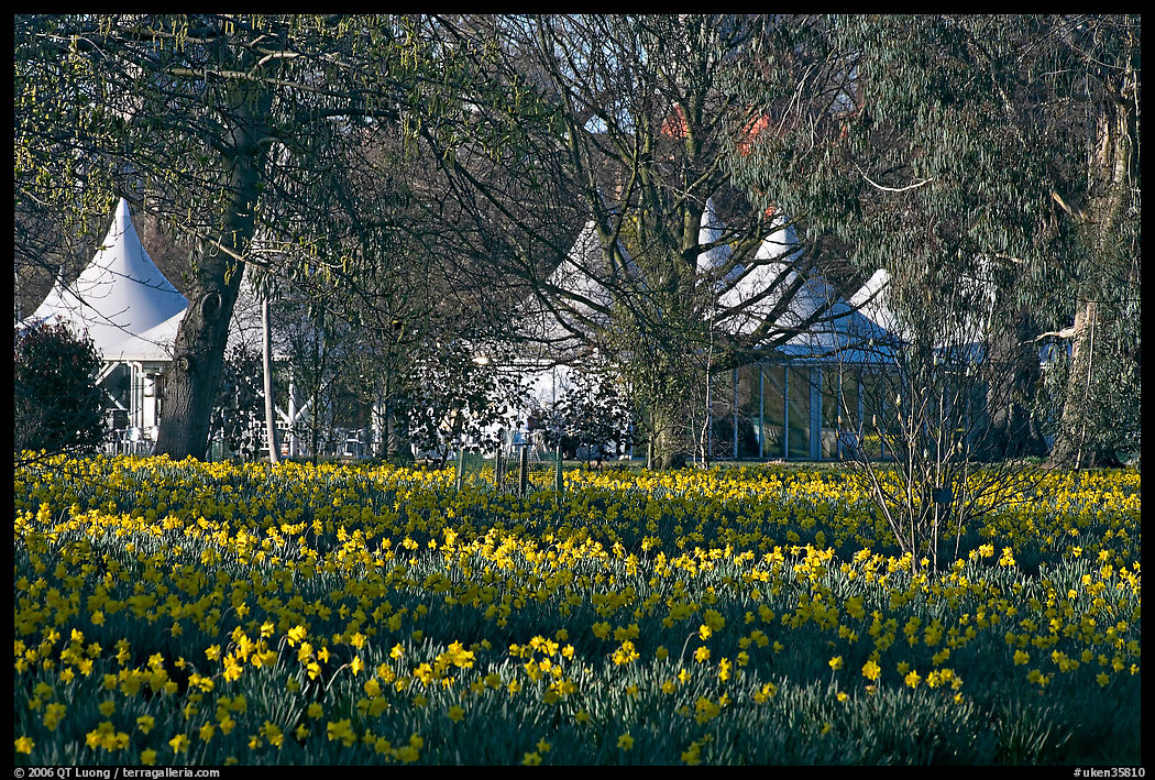 Flower bed and White Peaks. Kew Royal Botanical Gardens,  London, England, United Kingdom