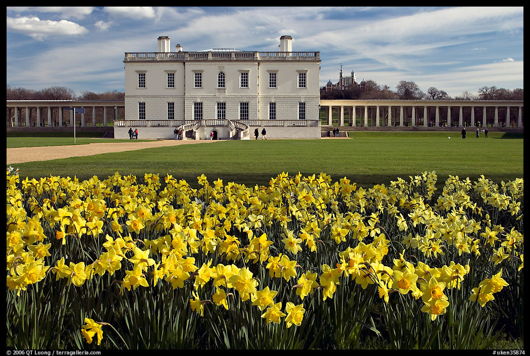 Queen's House and colonnades of the Royal Maritime Museum, with Daffodils in foreground. Greenwich, London, England, United Kingdom