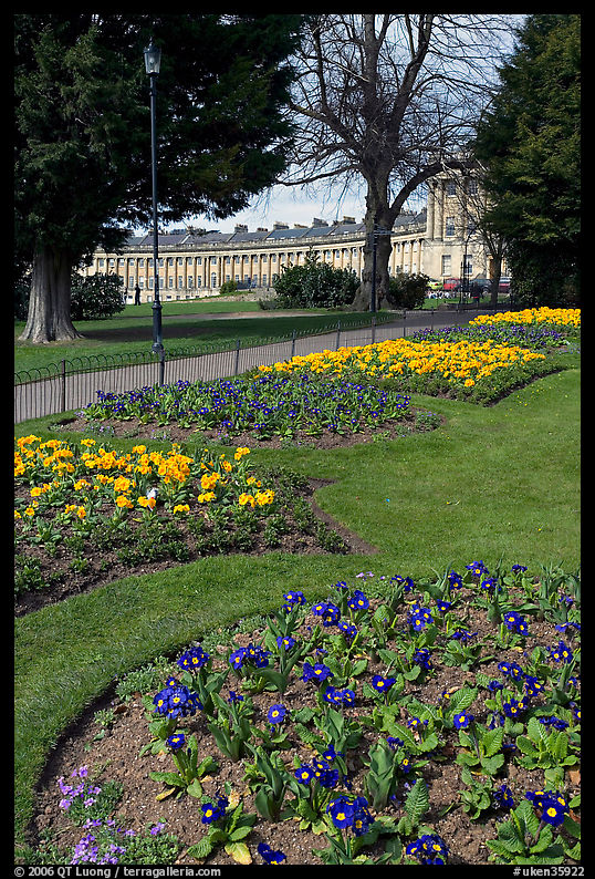 Flowers in park, with Royal Crescent in the background. Bath, Somerset, England, United Kingdom