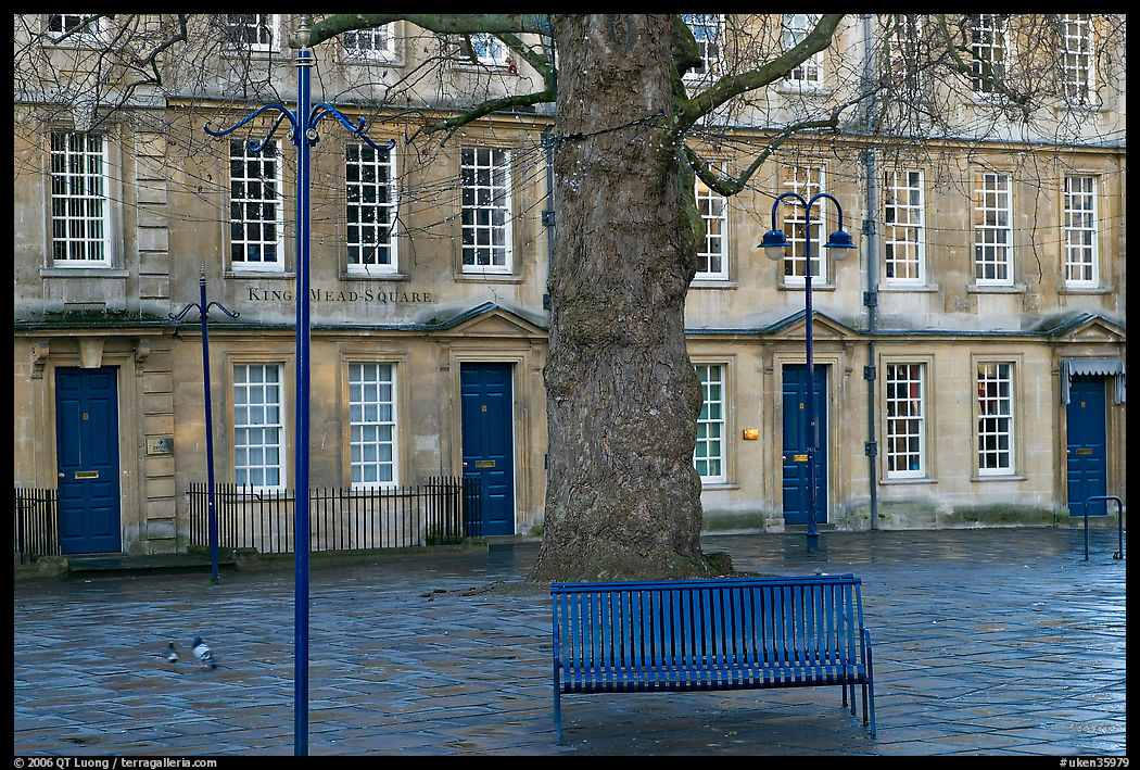Blue metal bench and tree, Kingsmead Square. Bath, Somerset, England, United Kingdom