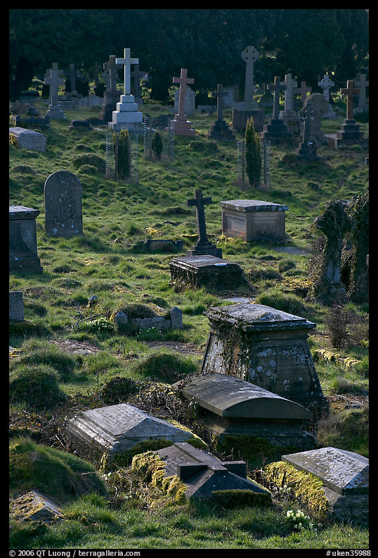Tombs and grasses. Bath, Somerset, England, United Kingdom