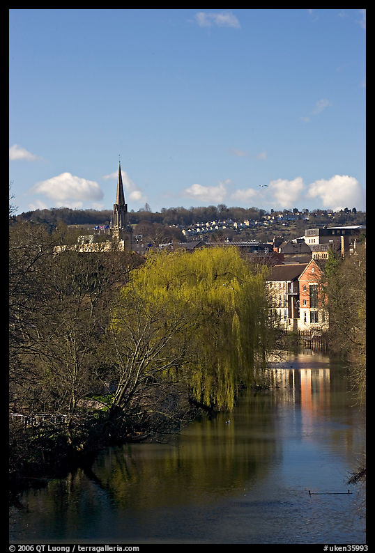 River Avon, willows, and church spire. Bath, Somerset, England, United Kingdom