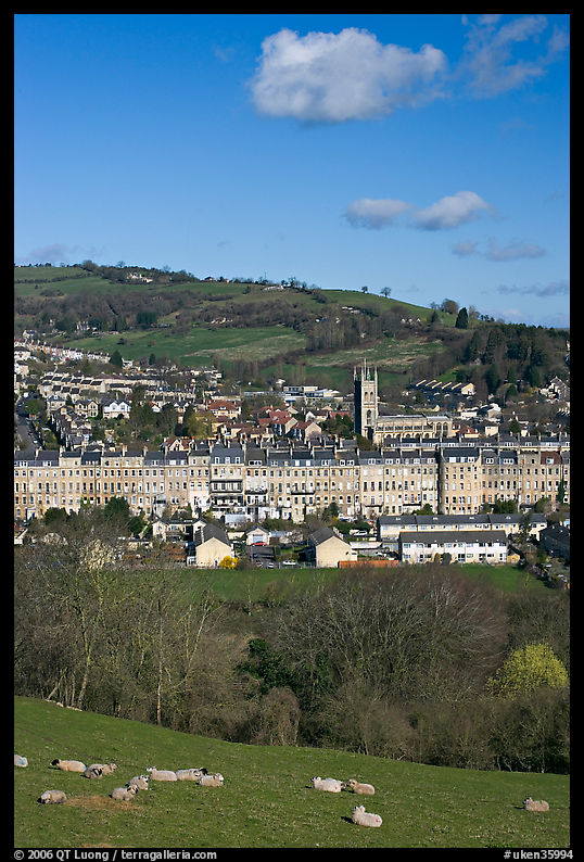 Sheep and distant view of town. Bath, Somerset, England, United Kingdom