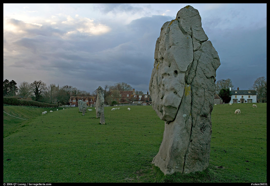 Circle of standing stones in pasture, Avebury, Wiltshire. England, United Kingdom