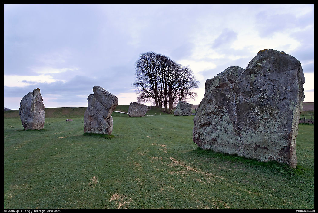 Megaliths and tree, Avebury, Wiltshire. England, United Kingdom