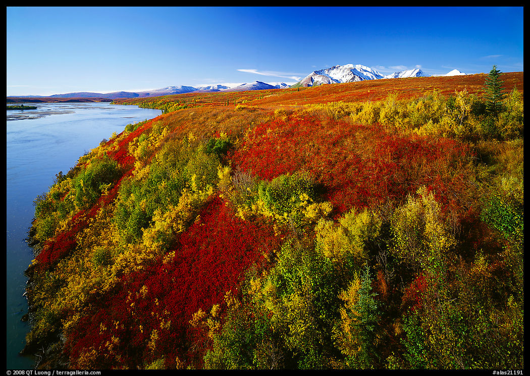 Susitna River and autumn colors on the tundra. Denali Highway, Central Alaska, USA
