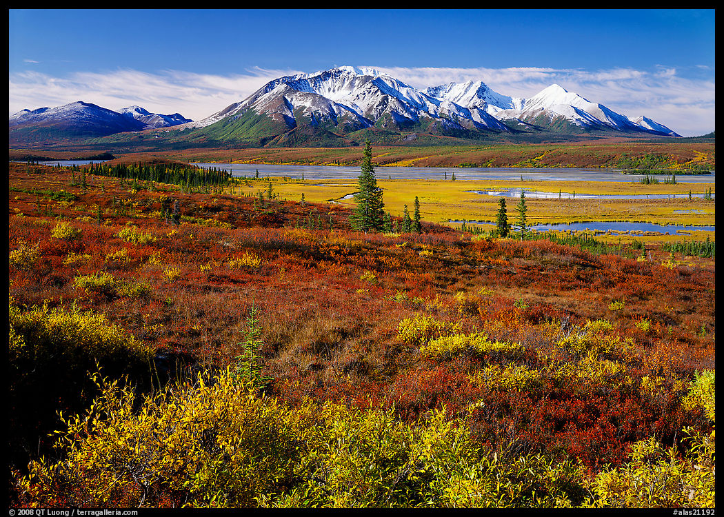 Tundra and snowy mountains. Denali Highway, Central Alaska, USA