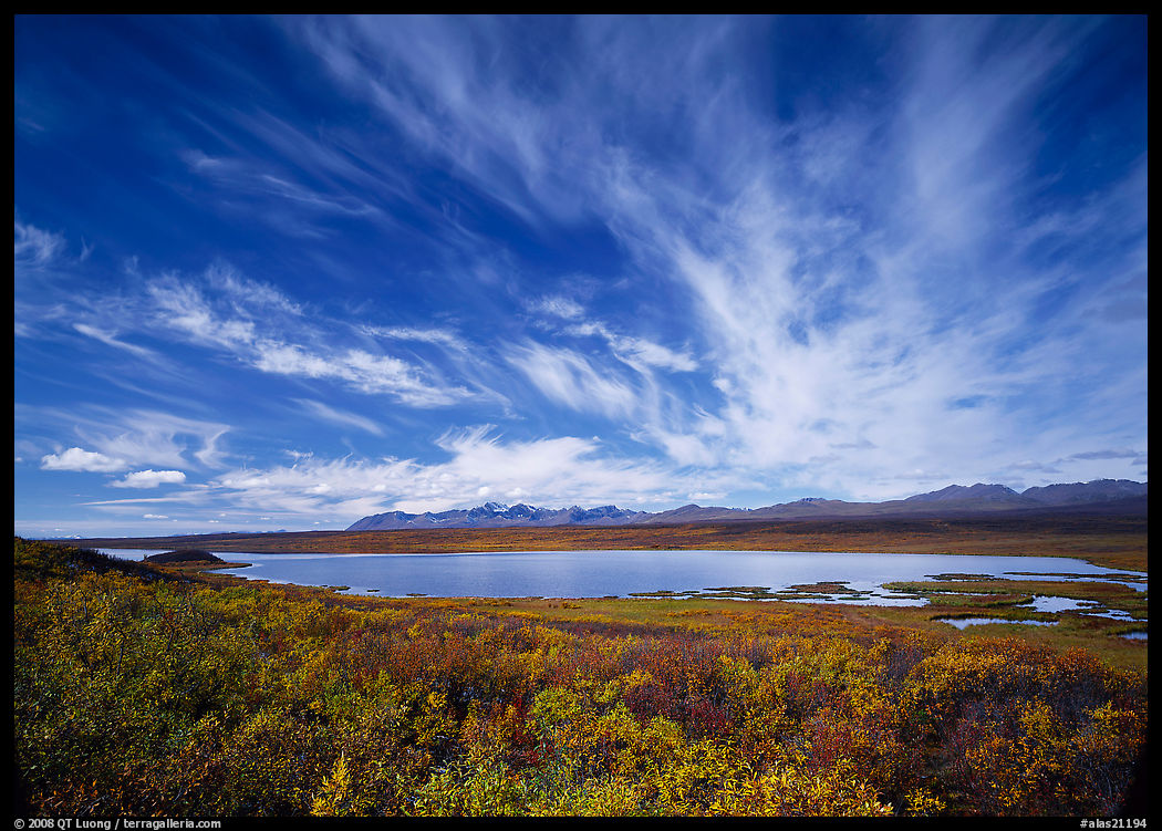 Clouds, tundra in fall color, and lake along Denali Highway. Denali Highway, Central Alaska, USA