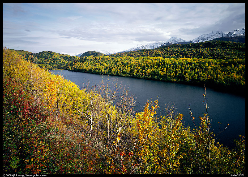 Long Lake surrounded by aspens in autumn color. Glenn Highway, Central Alaska, USA