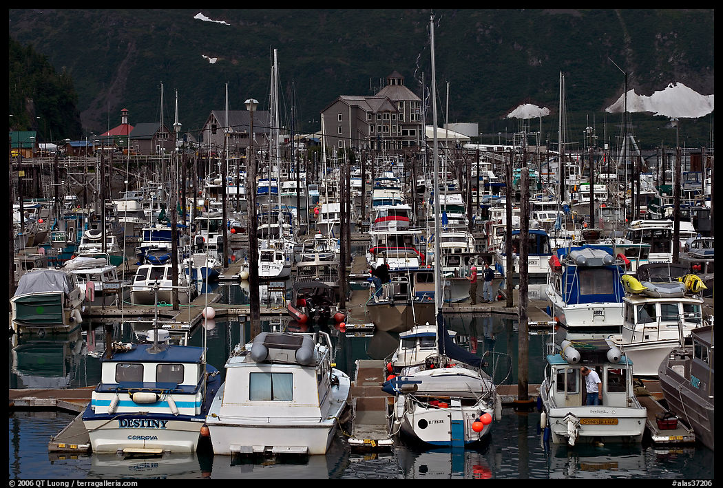 Small boat harbor. Whittier, Alaska, USA
