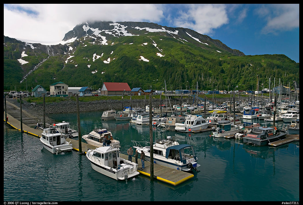 Yachts ready for sailing and harbor. Whittier, Alaska, USA
