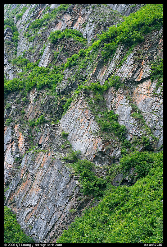 Vegetation and rocks on canyon walls, Keystone Canyon. Richardson Highway, Central Alaska, USA