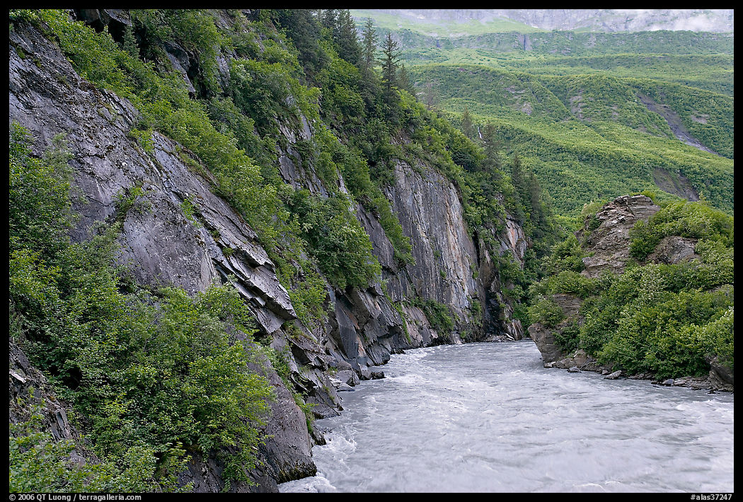 River, vegetation covered rock walls, Keystone Canyon. Richardson Highway, Central Alaska, USA