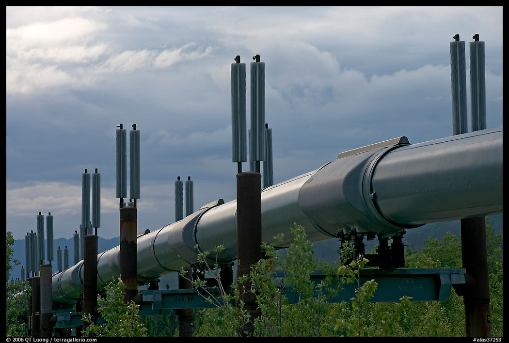 Trans-Alaska Pipeline. Richardson Highway, Central Alaska, USA