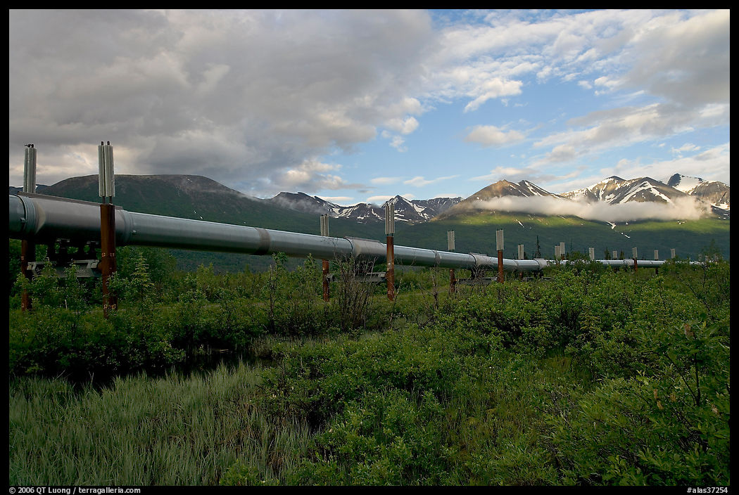 Alyeska Pipeline and mountains. Richardson Highway, Central Alaska, USA