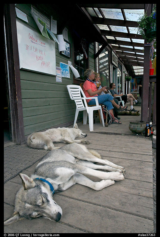 Dogs laying on porch of lodge. McCarthy, USA