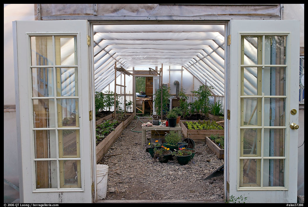 Greenhouse used for vegetable growing. McCarthy, USA