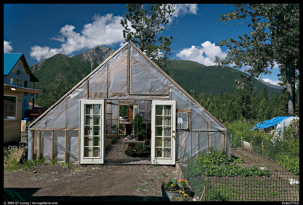 Greenhouse and vegetable garden. McCarthy, USA
