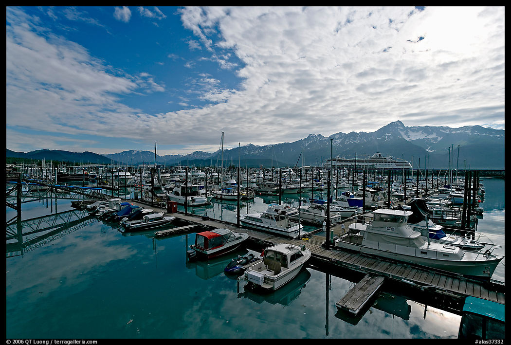 Small boat harbor, morning. Seward, Kenai Peninsula, Alaska, USA