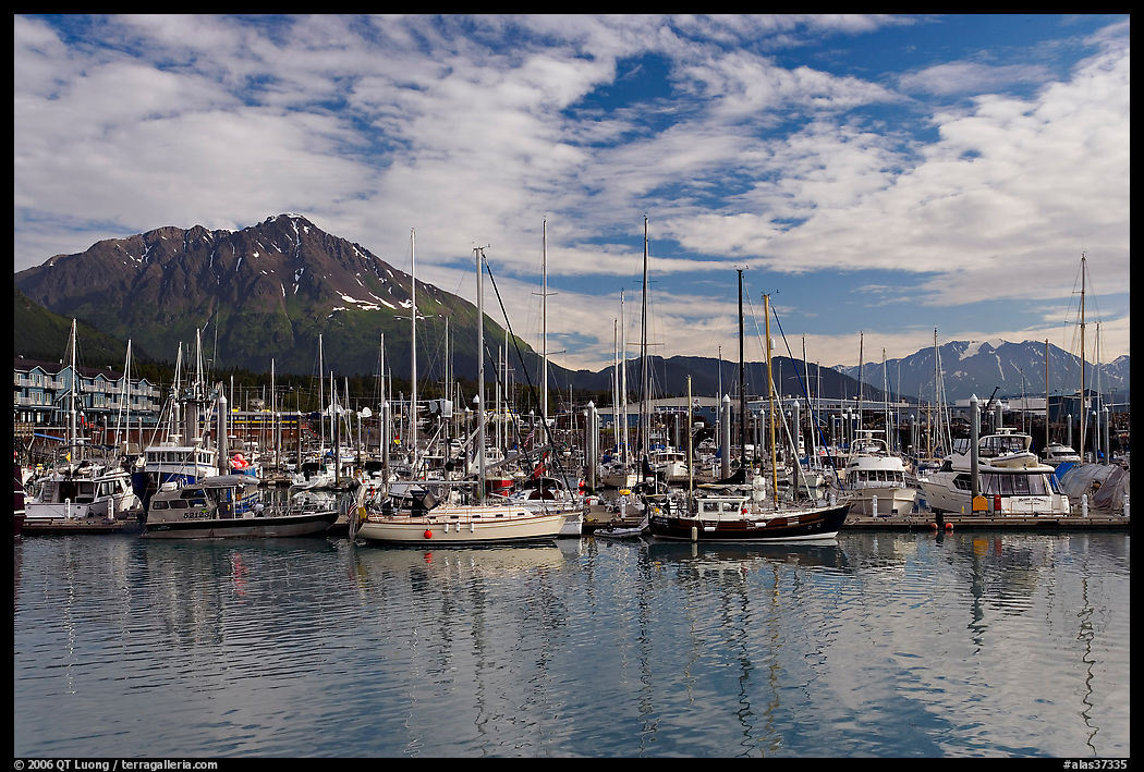 Yachts in harbor. Seward, Kenai Peninsula, Alaska, USA