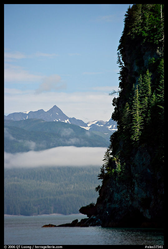 Cliff on island in Resurrection Bay. Seward, Kenai Peninsula, Alaska, USA