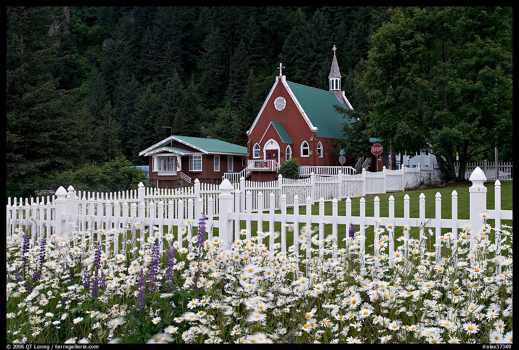 Flowers, white picket fence and church. Seward, Kenai Peninsula, Alaska, USA