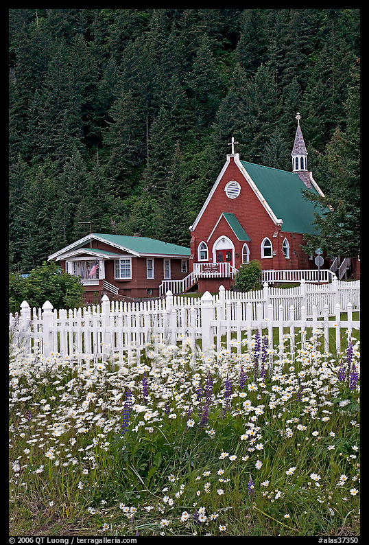 White flowers,  picket fence, red church, and forest. Seward, Kenai Peninsula, Alaska, USA