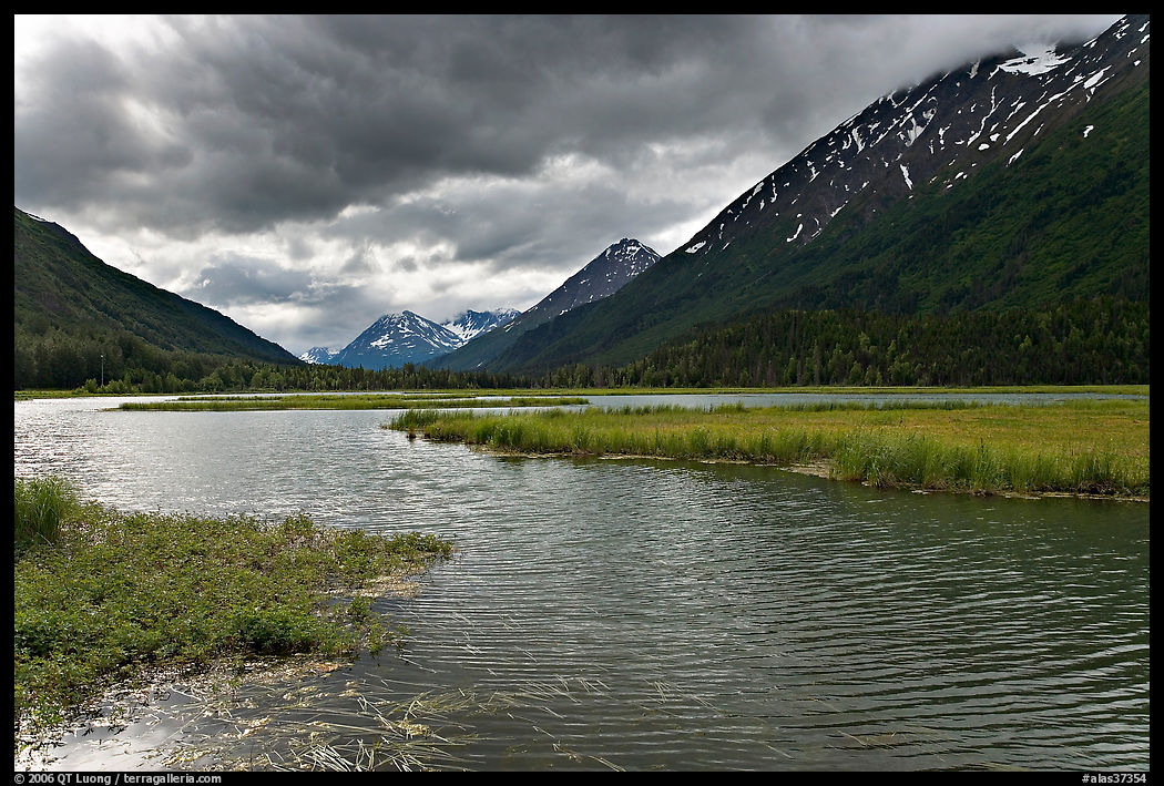 Tern Lake, mid-morning summer. Seward Highway, Kenai Peninsula, Alaska, USA